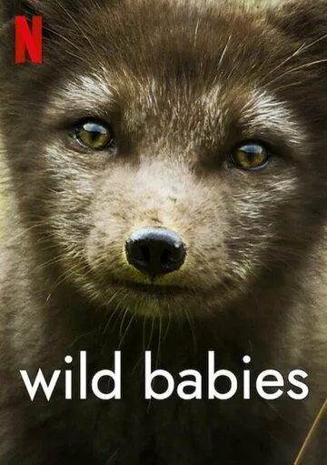 Детки не в клетке / Wild Babies (2022)
