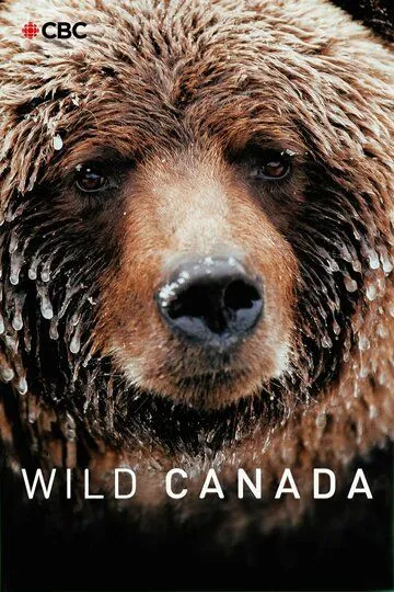 Дикая Канада / Wild Canada (2014)