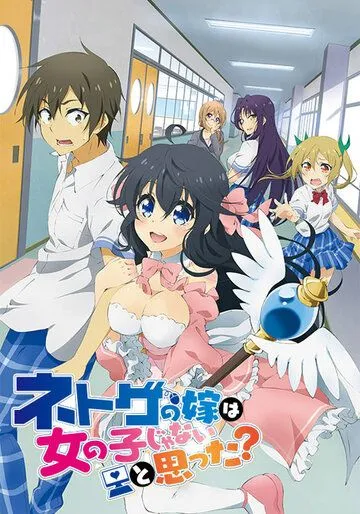 А ты думал, что девушки не бывают в сети? / Netoge no yome wa onnanoko ja nai to omotta? (2016)
