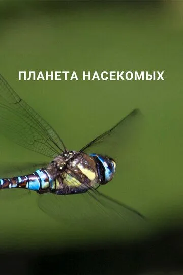 Планета насекомых / Planet Insect (2022)