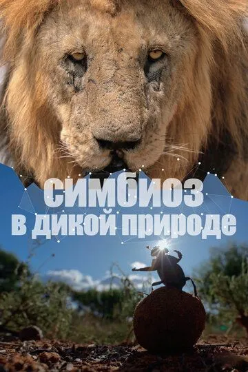 Симбиоз в дикой природе / Connection (2023)