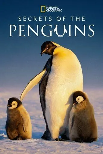 Секреты пингвинов / Secrets of the Penguins (2025)