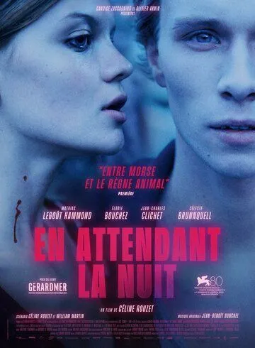 Ибо ночь придет / En attendant la nuit (2023)