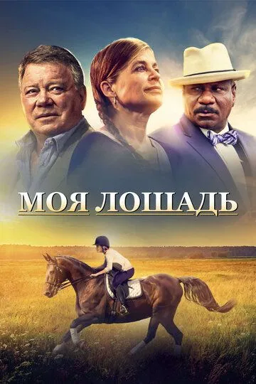 Моя лошадь / A Sunday Horse (2016)
