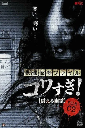 Ужасающие материалы, файл 2: Дрожащий призрак / Senritsu Kaiki File Kowasugi File 02: Shivering Ghost (2012)