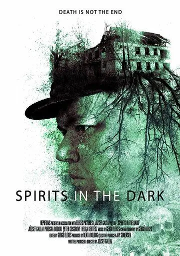 Духи во тьме / Spirits in the Dark (2020)