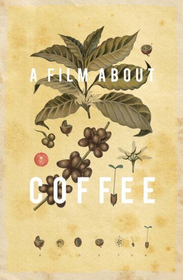 Фильм о кофе / A Film About Coffee (2014)