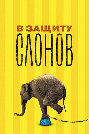 В защиту слонов / An Apology to Elephants (2013)
