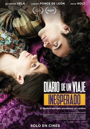 Diario de un viaje inesperado (2023)