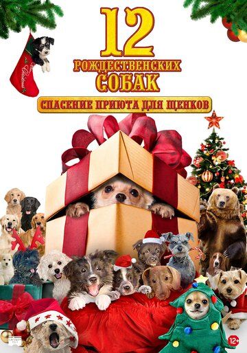 12 рождественских собак: Спасение приюта для щенков / 12 Dogs of Christmas: Great Puppy Rescue (2012)