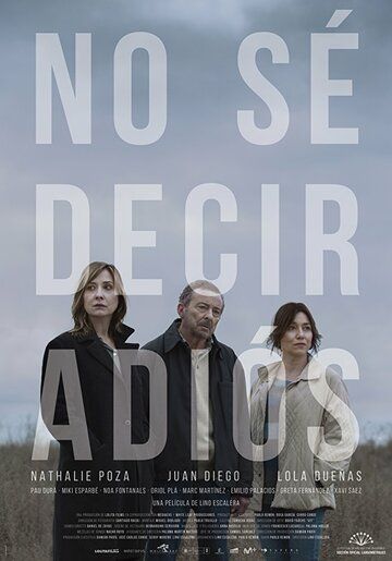Не могу сказать прощай / No sé decir adiós (2017)
