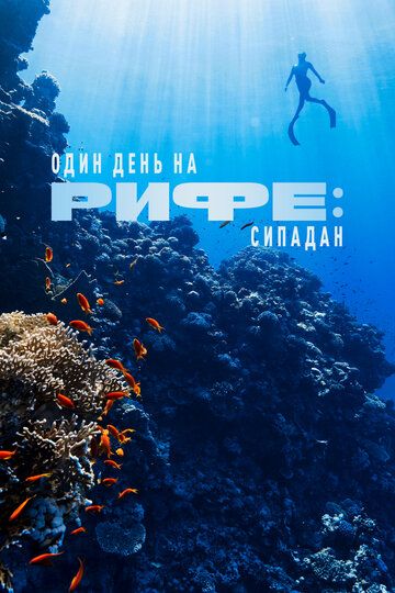 Один день на рифе: Сипадан / A Day on the Reef: Sipadan (2023)