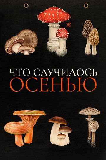 Что случилось осенью / Quand vient l'automne (2024)