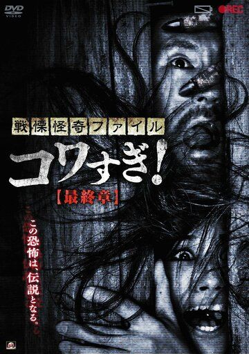 Ужасающие материалы: Последняя глава / Senritsu Kaiki File Kowasugi: Final Chapter (2015)