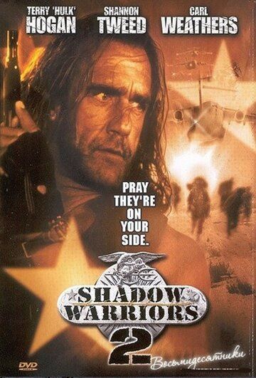 Нападение на Остров Дьявола 2: Гора Смерти / Shadow Warriors II: Hunt for the Death Merchant (1998)