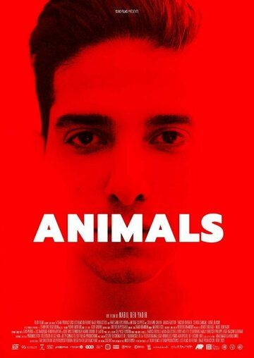 Животные / Animals (2021)