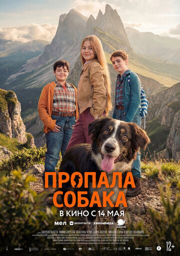 Пропала собака / Io non ti lascio solo (2025)
